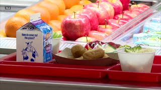 West Michigan families can get free summer meals for kids through state program