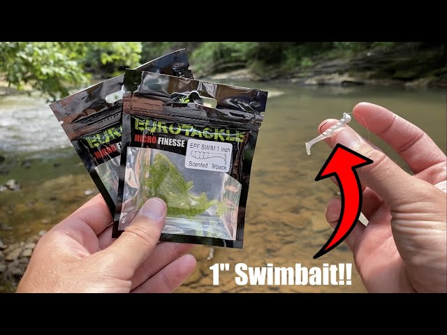 Eurotackle 1 EPF Swim REVIEW!! (Creek Fishing) 