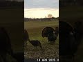 When you don’t go turkey hunting.