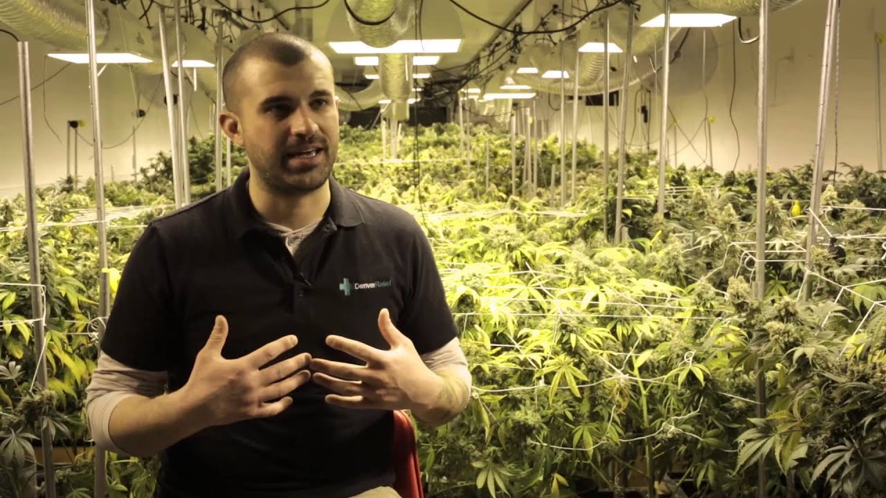 Spark | A Mile High Story