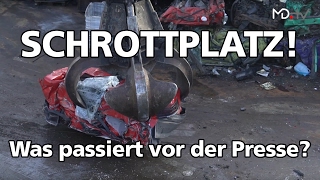 Md Reportage Ersatzteile Ein Tag Auf Dem Schrottplatz