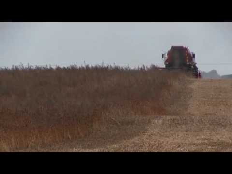ЗЕРНОУБОРОЧНЫЙ КОМБАЙН КЗС-5