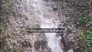 Panggilan Dari Gunung Iwan Fals