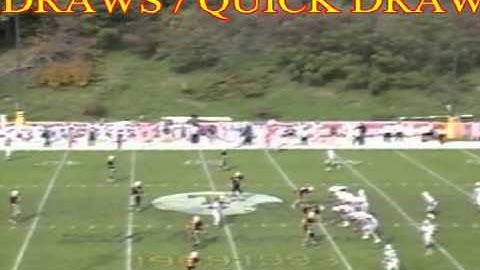 HYBRID WEST COAST OFFENSE RUN GAME - QUICK DRAW