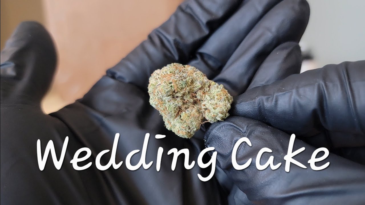 Wedding Cake - California Gold Farm - THCa Flower Review
