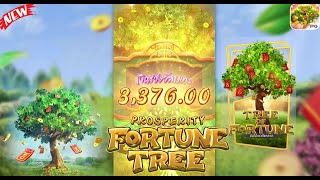 Prosperity Fortune Tree