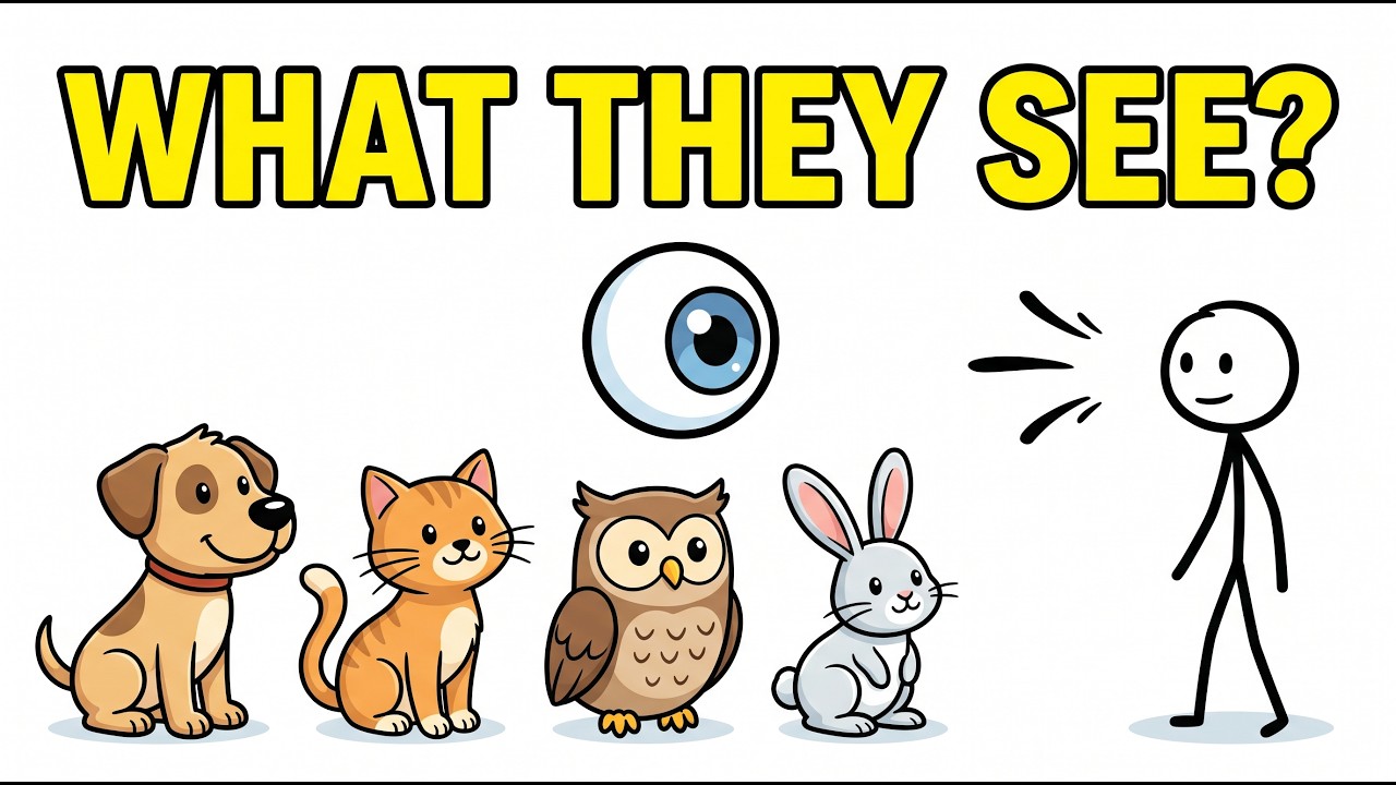 WHAT DO ANIMALS SEE WHEN THEY LOOK AT US? — Transcript