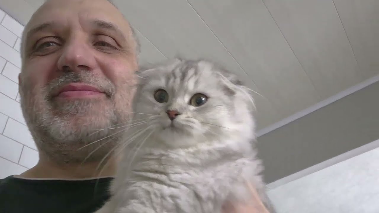 Соня помогает жарить ленивые чебуреки 😊