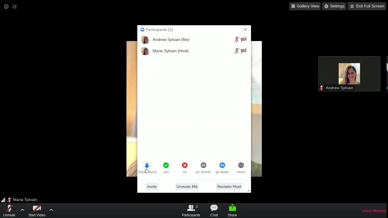 How to use symbols and rename yourself in Zoom - YouTube