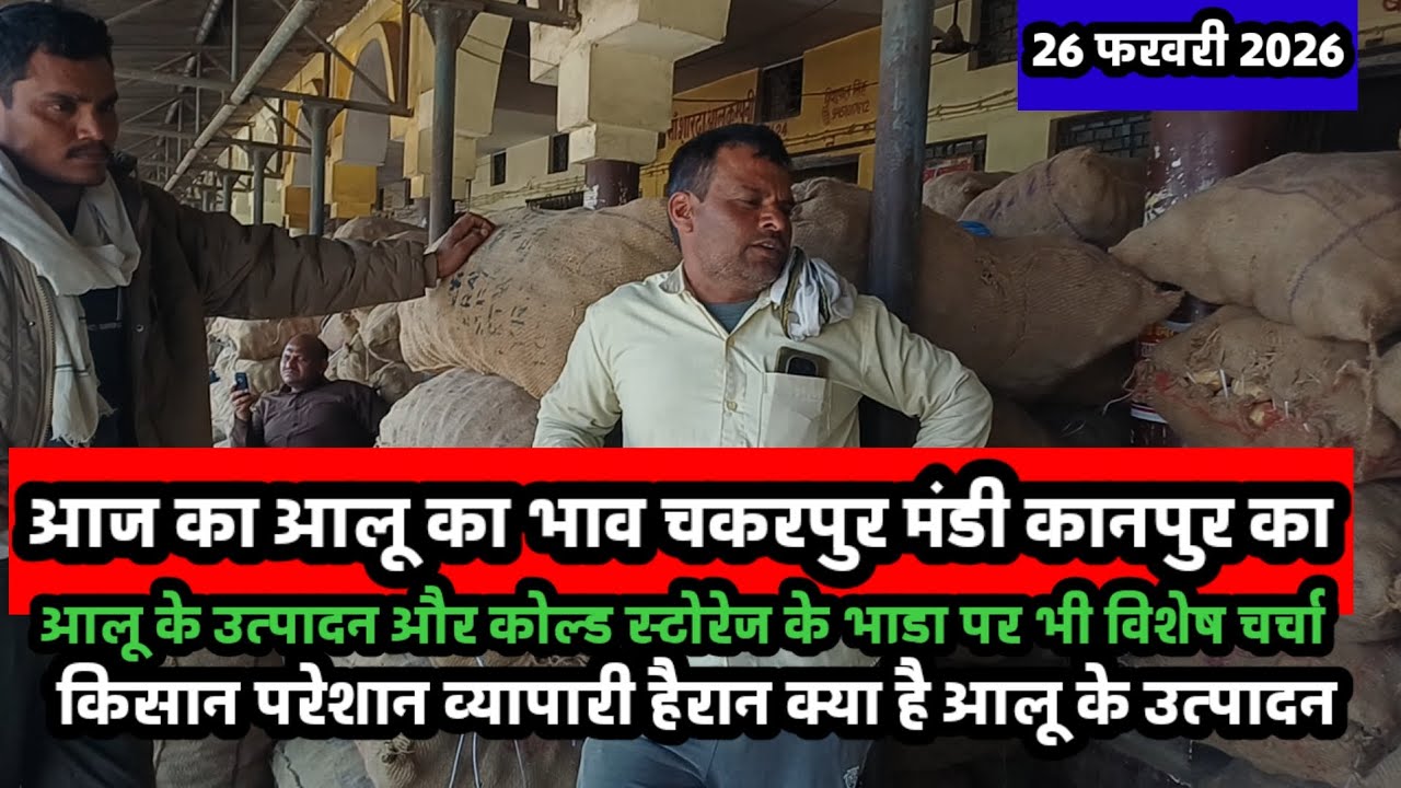 आज का आलू का भाव चकरपुर मंडी कानपुर का 26 फरवरी 2026