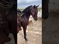 Sentimental - Joan Sebastian