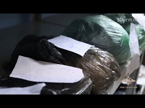 Нарко-гидра | Narco-hydra