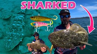 HOW TO CATCH FLATHEAD USING VIBES IN DEEP WATER | MORETON BAY | Harrys, Rous & Rainbow Channels