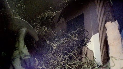 Desolation=Liberation Demo