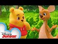 Playdate with Winnie the Pooh | Kanga and Hide-and-Seek | Episode 5 | @disneyjunior