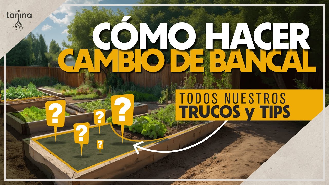 ¡Prepara tu Huerto para el ÉXITO! Trucos esenciales para el cambio de bancales