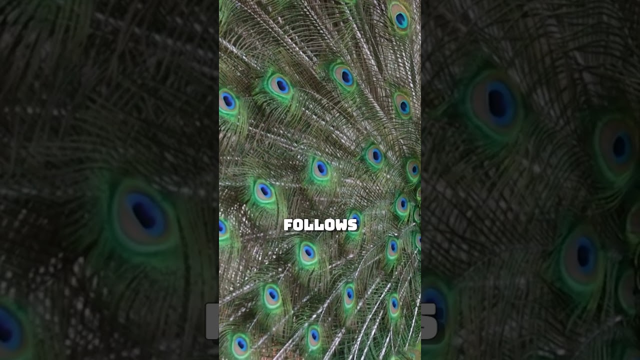 The Law of Vibration: Attracting Your True Frequency 