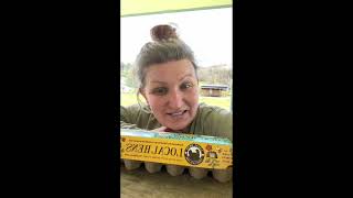 Lady B Farms vs. Vital Farms by Bobbi Rae Myers 79 views 1 month ago 10 minutes, 42 seconds