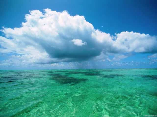 Watch Coldplay - Paradise (432 Hz) on YouTube Watch Coldplay - Paradise (432 Hz) on YouTube