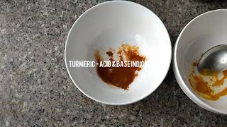 Turmeric- Natural Acid & Base Indicator Experiment