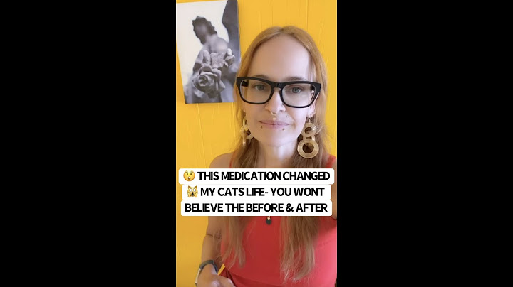 🙀 This Medication Changed My Cats Life!