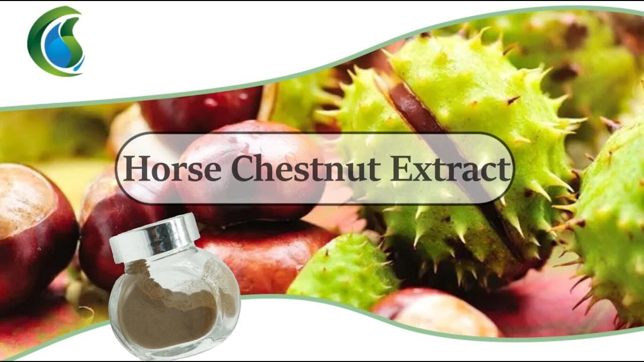 How To Make Horse Chestnut Tincture