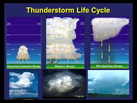 Thunderstorm Ingredients