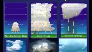 Thunderstorm Ingredients