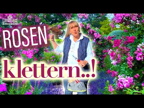 Video: Arten von bepflanzbaren Töpfen – Erfahren Sie mehr über die Verwendung alternativer Behälter im Garten