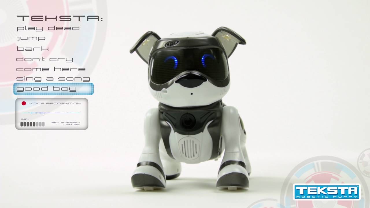 TEKSTA Voice Recognition Puppy Demo 