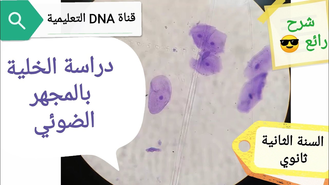 دروس العلوم الطبيعية 2 ثانوي شعبة الرياضيات