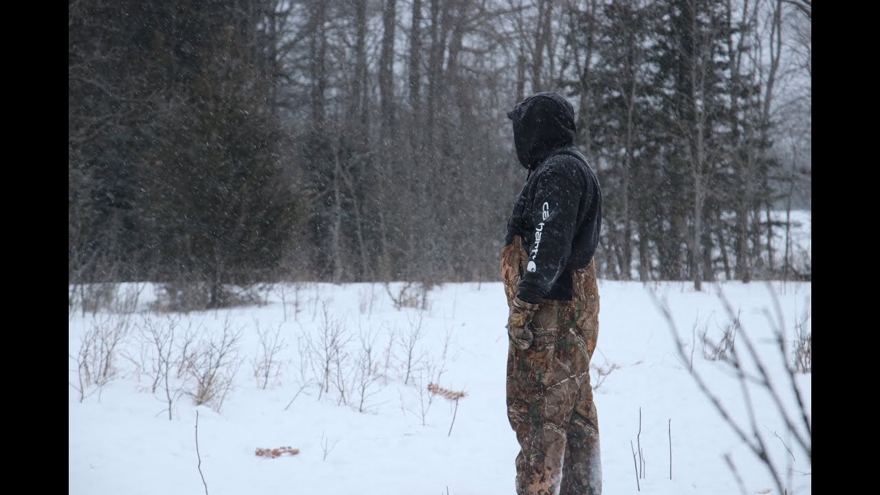 Coyote Hunting With Hounds Ontario VLOG 2RockRib Outdoors YouTube