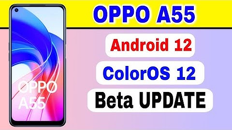 OPPO A55 gets Android 12 Based ColorOS 12 Beta Update