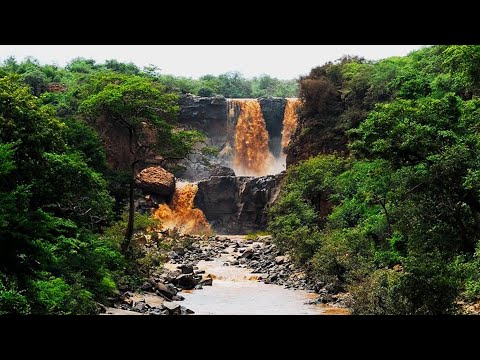Daniel W Gebriel Askotu ዳንኤል ወ ገብርኤል አስኮቱ Ethiopian Instrumental Music