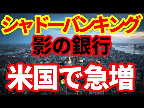 【米金融危機】アメリカでシャドーバンキングが急増！アメリカの金融市場で何が起きているのか！シャドーバンキングについて解説（妙佛DeepMaxさん、中国のシャドーバンキングについて教えてください）