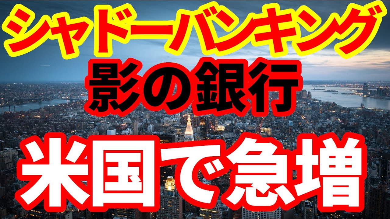 米金融危機】アメリカでシャドーバンキングが急増！アメリカの金融市場で何が起きているのか！シャドーバンキングについて解説（妙佛DeepMaxさん、中国の シャドーバンキングについて教えてください） - YouTube