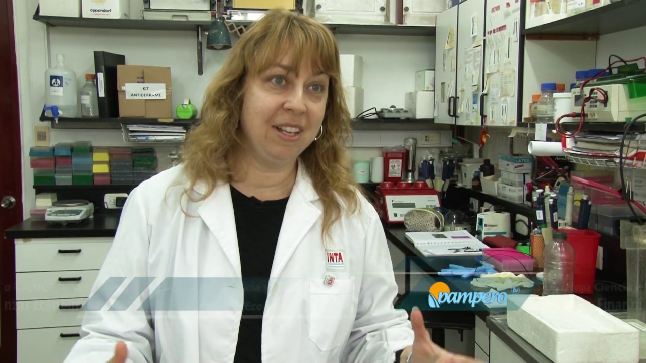 Avances en el genoma de la célula vegetal intangible