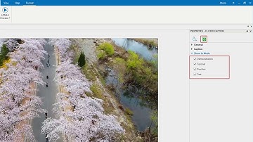 How to Turn Subtitles off - ActivePresenter 8