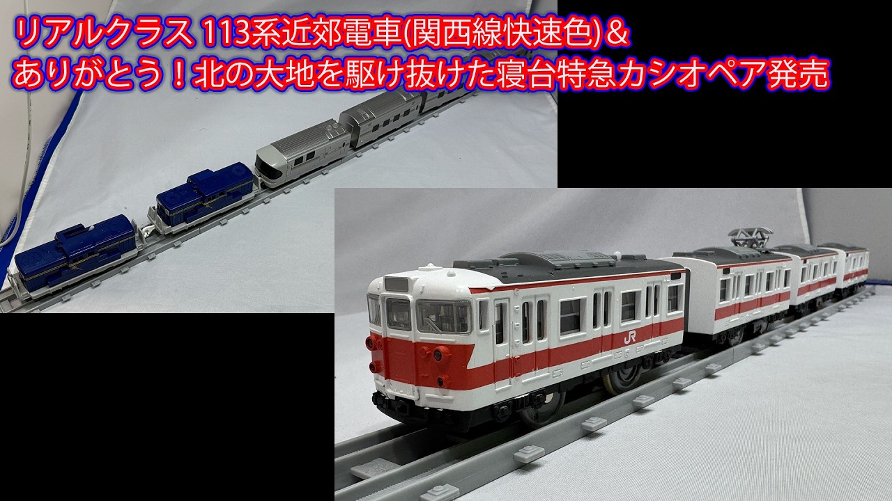 りの Real Class 113 Series Commuter Train (Kansai Line Rapid Service