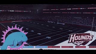 Vice City Manatees @ Cottonmouth Hounds 6/10 (90s Roleplay Server)