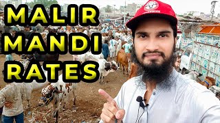Malir Cow Mandi Latest RATES UPDATES of Cattle Collection for Bakra Eid 2022 | Cattle Market Karachi