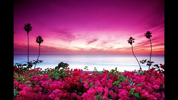 سورة النمل كاملة من صلاة التراويح للقارئ داود محداب - ولاية جيجل -