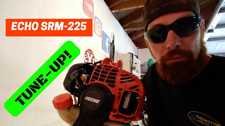 ECHO SRM-225 TUNE UP!