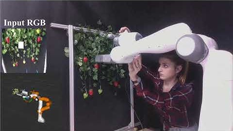 Deep probabilistic movement primitives: a use case in strawberry picking robot