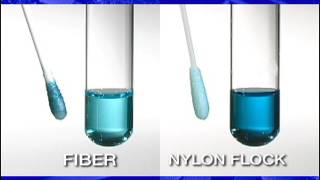 COPAN Flocked Swab VS Traditional Fiber Swab Comparison