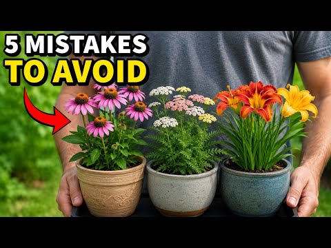 11 Mistakes You Must NEVER Make When Planting Perennials
