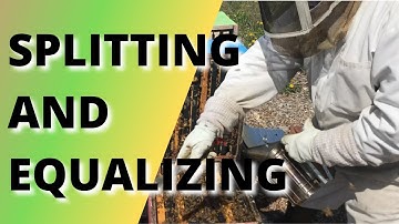 Splitting and Equalizing