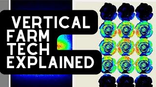 How Does Vertical Farm Technology Work?