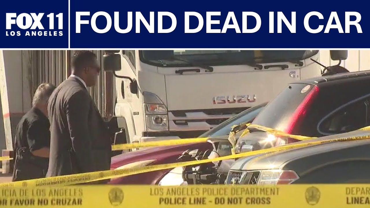 Man shot, killed in Palms-Culver City area | FOX 11 LA - YouTube