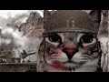 German Unification A German History Video